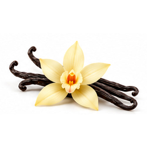 Vanilla