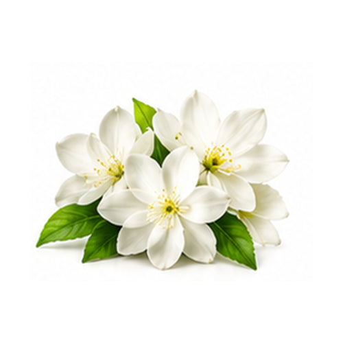 White Floral